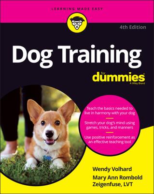 Puppy Training Basics: 4 Fundamental Tools & Concepts for Success