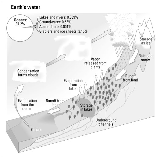 Understanding the Weather's Water Cycle - dummies