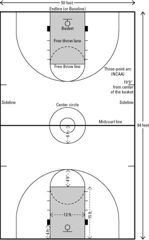 The Lines And Dimensions Of A Basketball Court Dummies