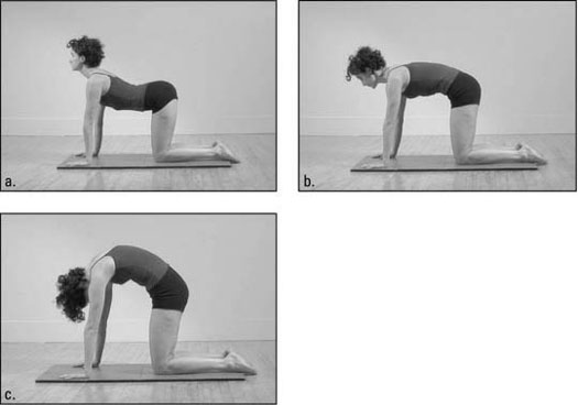 Pilates Exercise Shell Stretch Explained