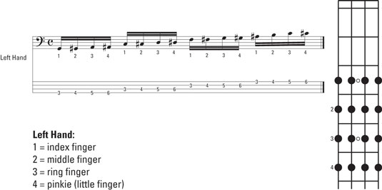 How to Practice Bass Guitar Finger Permutations - dummies