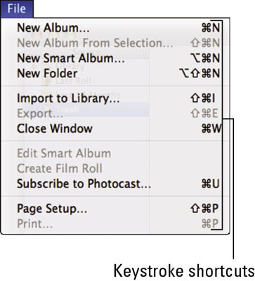 mac shortcut for getting size of jpg
