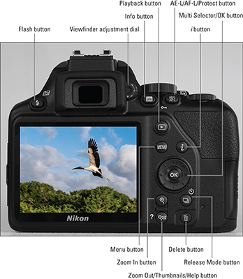 Using Your Nikon D3500: Familiarizing Yourself with Nikon Lenses - dummies