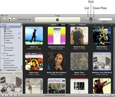 how to change to list view in itunes