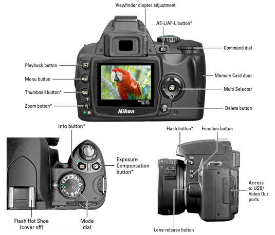 Nikon D40/D40X Camera 