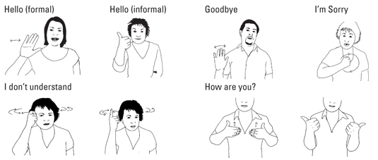 Essential Expressions In British Sign Language Dummies