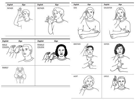 ASL How To Sign About Your Family Members Dummies