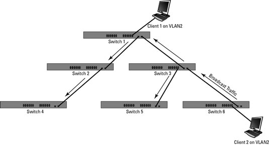 Vlan Trunking Protocol (vtp) Tree Optimization - Dummies