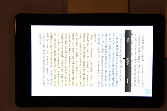 how to use dictionary in kindle fire