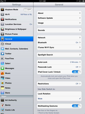 Cellular Data Options for Your iPad - dummies