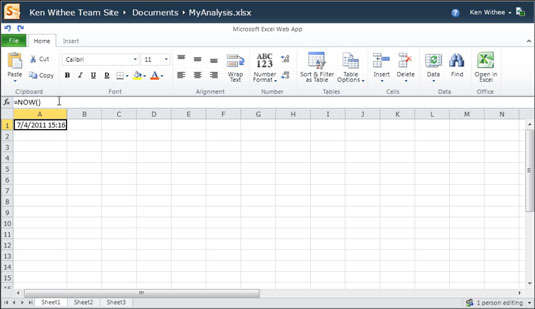 Advanced Features of the Excel Web App - dummies