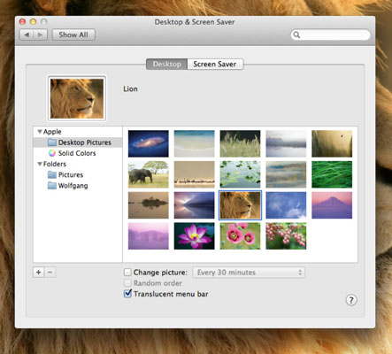 choose a background photo for mac