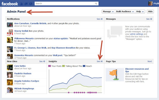 Facebook Insights Provides Data To Analyze Your Business Page Dummies