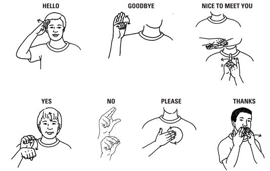 sign language sentences to learn