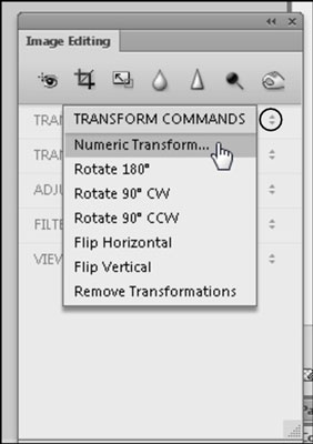how to change the language in adobe fireworks cs6