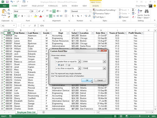 How To Use Custom Filters In Excel 2013 Dummies