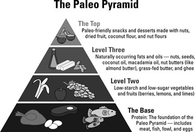 The Science behind the Paleo Diet - dummies