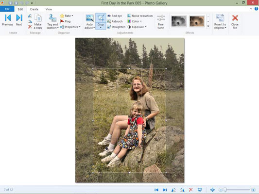 How To Rotate And Crop Images With Windows Photo Gallery Dummies