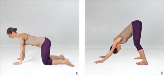 How to Do Downward-Facing Dog Posture (Adhomukha Shvanasana) in Yoga ...