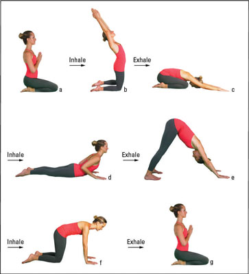 How to Do the 7-Step Yoga Kneeling Sun Salutation - dummies