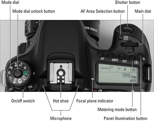 Oprigtighed tragt Betinget Canon EOS 70D For Dummies Cheat Sheet