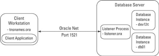 how-to-connect-to-the-oracle-12c-database-instance-dummies