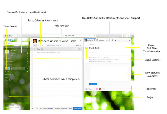 How To Use The Asana Web App Dummies