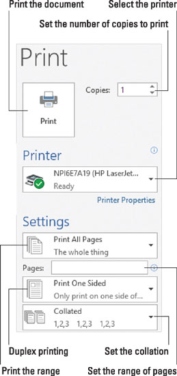 使用页面文本框指示要打印的页面。