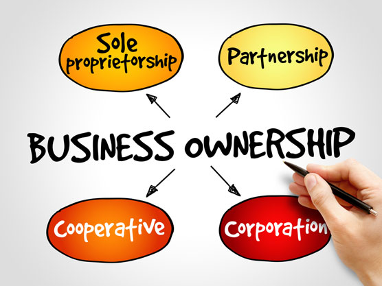 Tax Reporting For Sole Proprietors Partnerships Llcs And Corporations Dummies