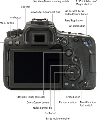 CANON CAMERA AND PHOTOGRAPHY TIPS - USING LIVE VIEW for beginners. 
