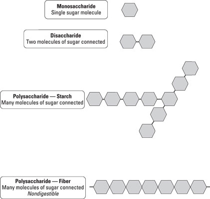 simple polysaccharide