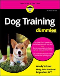 https://www.dummies.com/wp-content/uploads/dog-training-for-dummies-4th-edition-cover-9781119656821-203x255.jpg