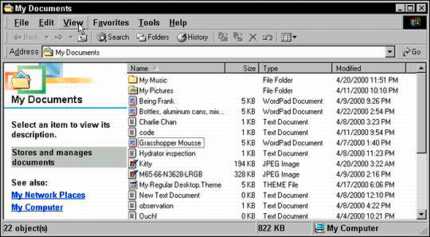 Viewing More Information On Folders In Windows Me - Dummies