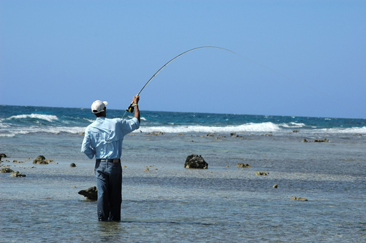 Top 10 Saltwater Fly Fishing Destinations To Tick Off Your Bucket List 