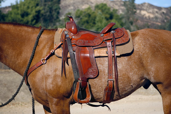 Pre made-Sliding chin riding halter/reins set with Western knot