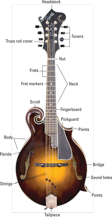 Anatomy of a Mandolin - dummies