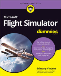 Microsoft Flight Simulator beginner's guide and tips - Polygon