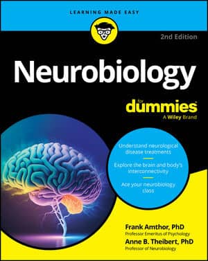 Neurobiology For Dummies book cover