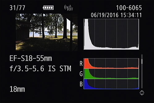 How To Interpret Digital SLR Histograms - Dummies