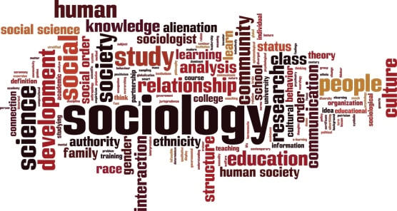 Master In Sociology Subjects CollegeLearners