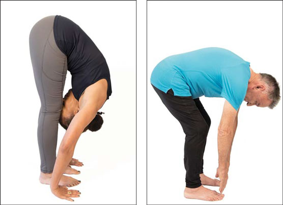 yoga50 standing forward bend